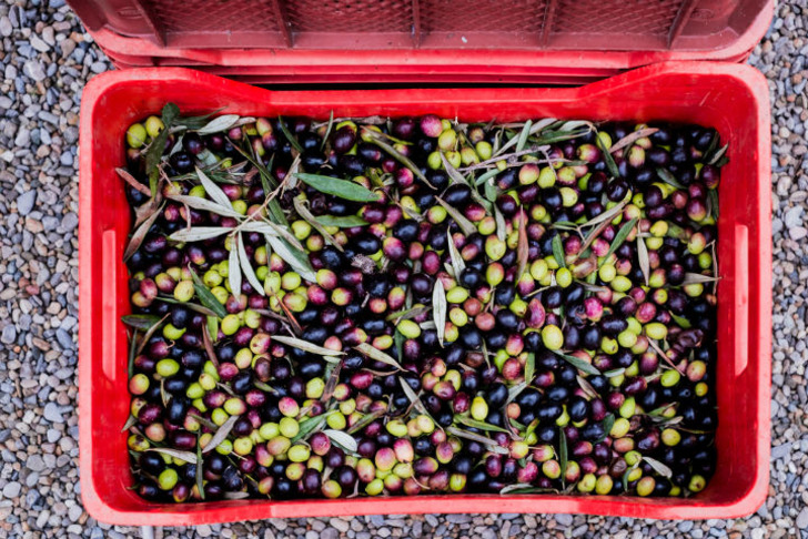 zeytin-kafe
