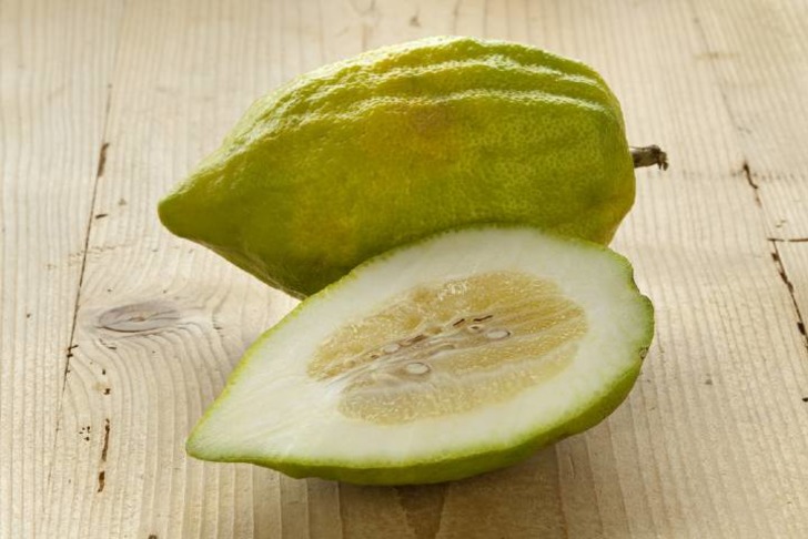 Ağaç Kavunu Zararları