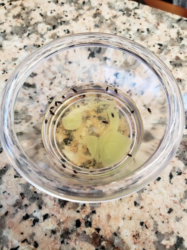 brightside