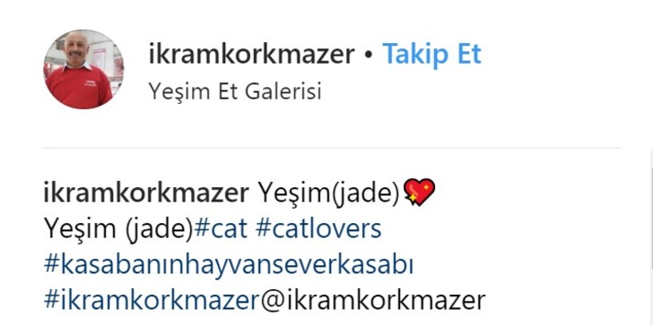 https://www.instagram.com/p/BmKo_h9AhQS/?hl=tr&taken-by=ikramkorkmazer | Instagram