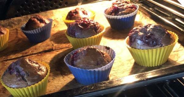 muffin-2