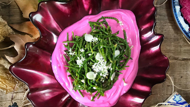 Pembe Güzellik: Yoğurtlu Deniz Börülcesi