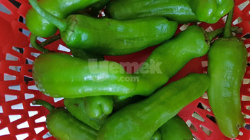 Yapılış - 3. Adım