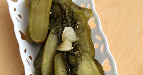 almantursusu2