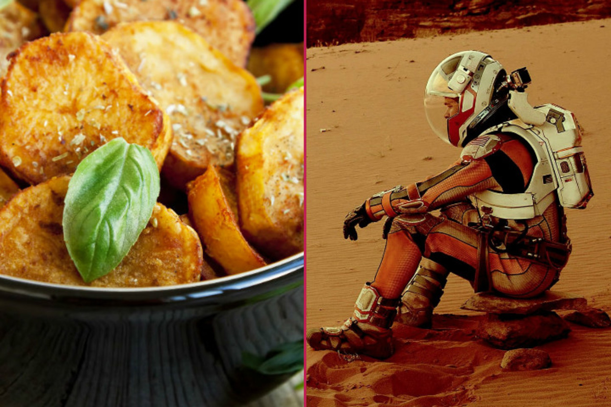 Mars Mutfağına Giriş: The Martian'dan Fesleğenli Fırın Patates