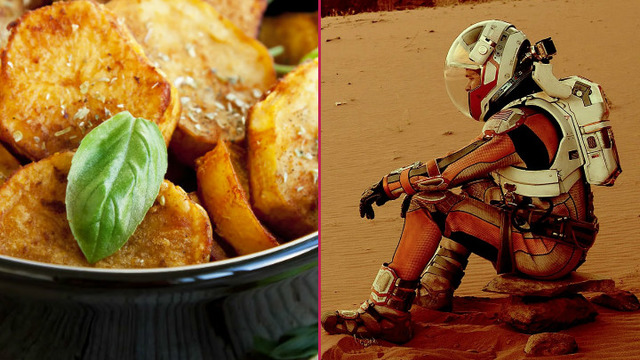 Mars Mutfağına Giriş: The Martian'dan Fesleğenli Fırın Patates