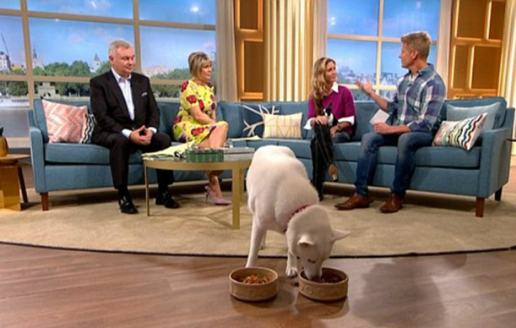 http://www.dailymail.co.uk/femail/article-6113933/This-Morning-guest-red-faced-vegetarian-dog-eats-meat.html | dailymail