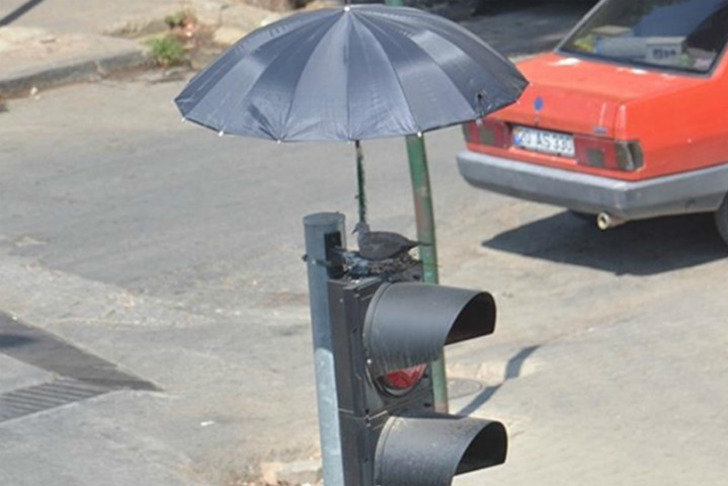 sozcu
