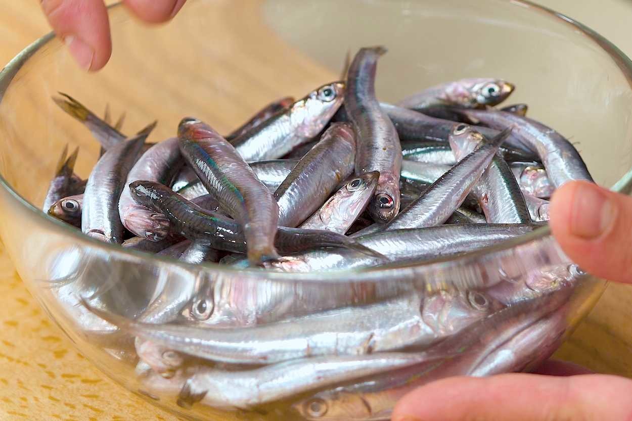 Aslında Çok Kolay: Evde Pratik Bir Şekilde Hamsi Nasıl Temizlenir, Nasıl Ayıklanır?