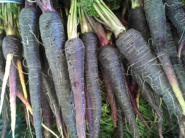 carrotmuseum