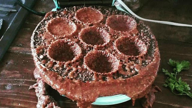 Mutfaktaki Araç Gereçlerle Başı Fena Halde Belada Olan 10 Yetenek Düşmanı