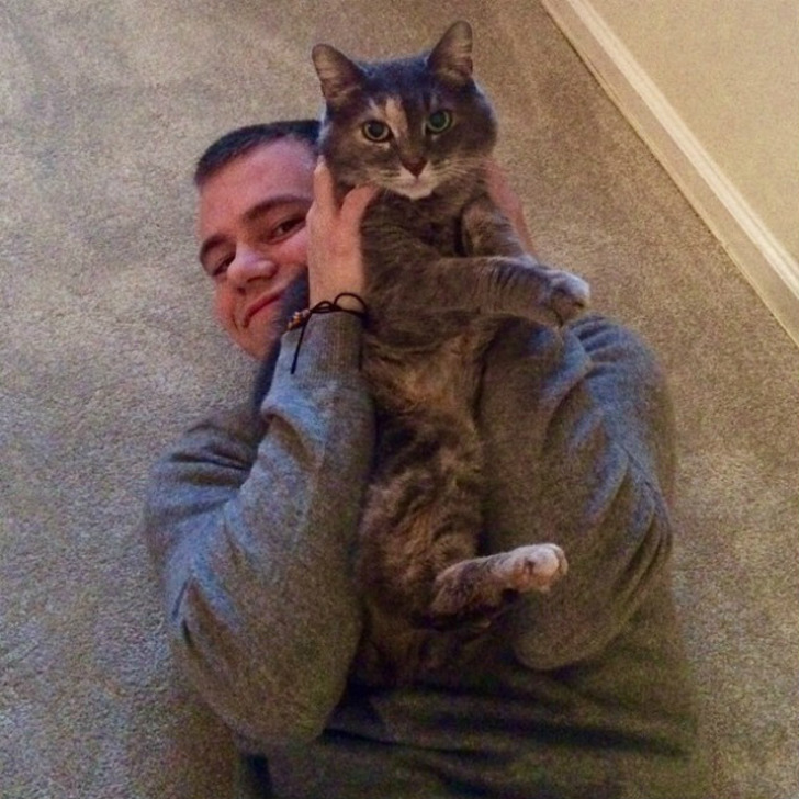 lovemeow