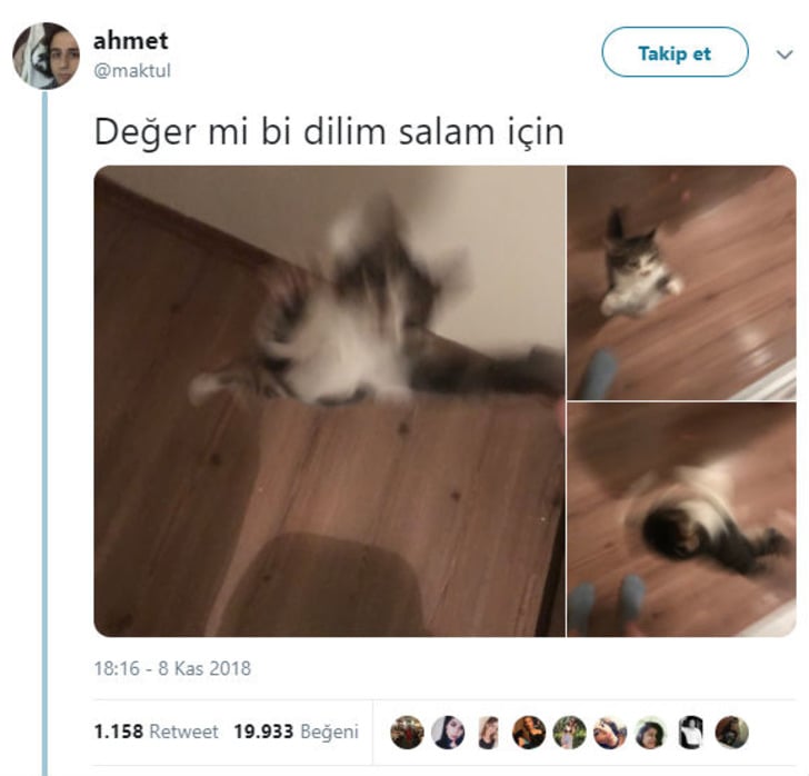 twitter