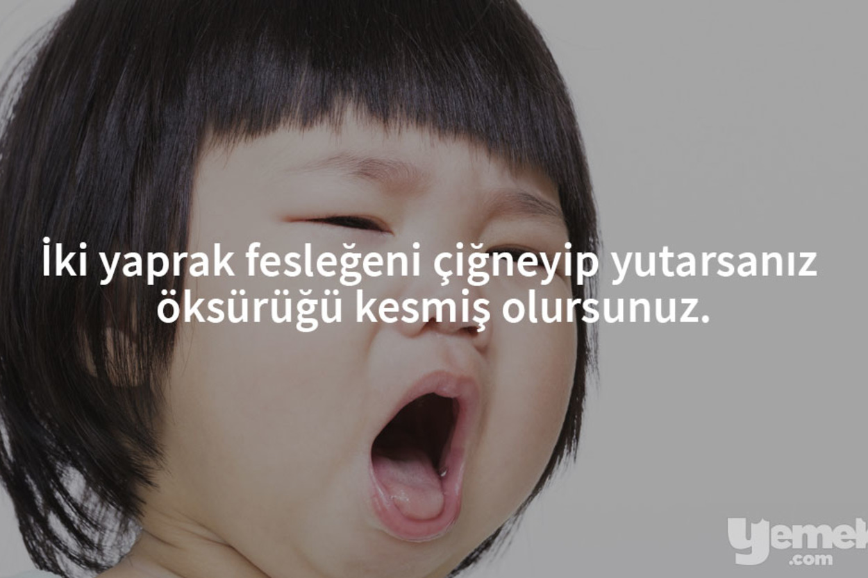 Fesleğenin Yalnızca Bir Bitki Olmadığının 11 Kullanışlı Kanıtı