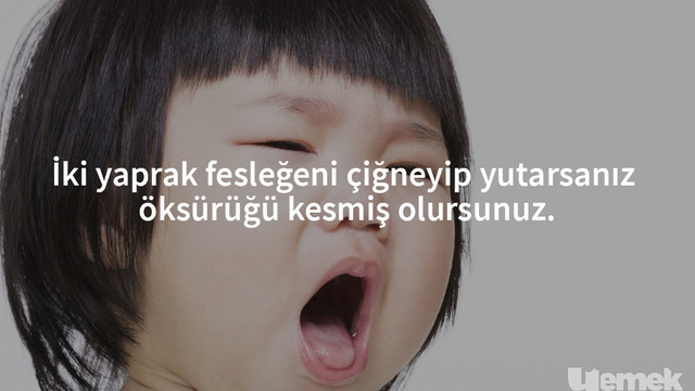 Fesleğenin Yalnızca Bir Bitki Olmadığının 11 Kullanışlı Kanıtı