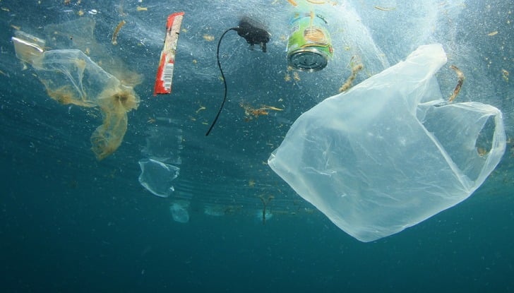 https://www.deeperblue.com/step-become-citizen-trash-isle/ | DeeperBlue