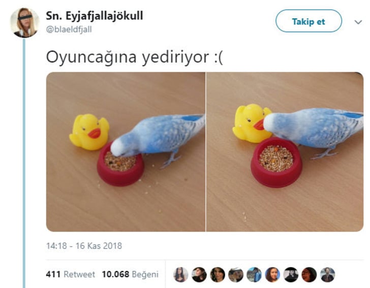 twitter