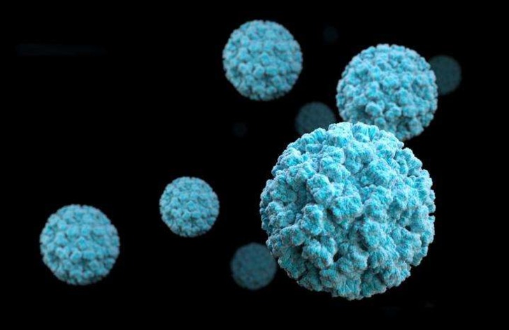 norovirus-salgini-2