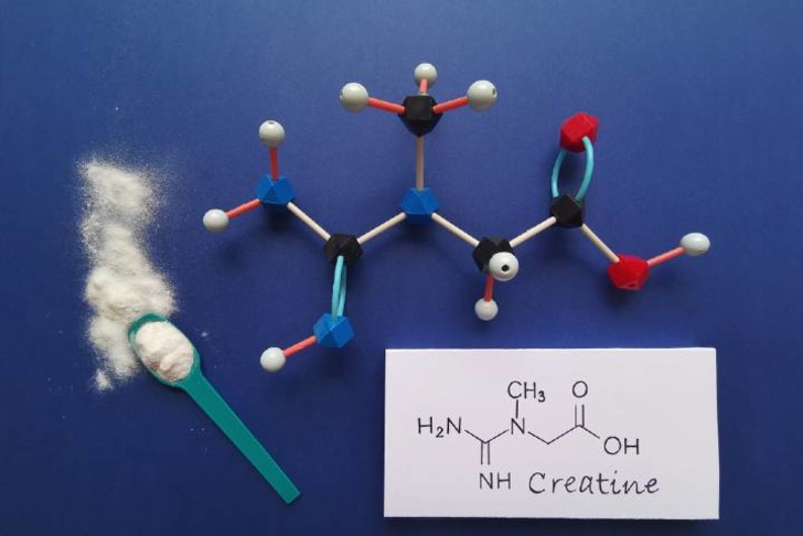 Kreatin Nedir