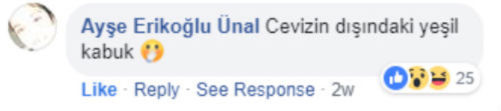 ayse-erikoglu-fb