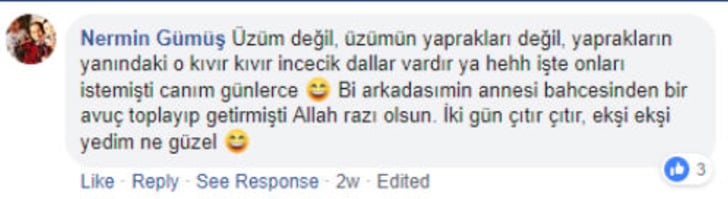 nermin-gumus-fb
