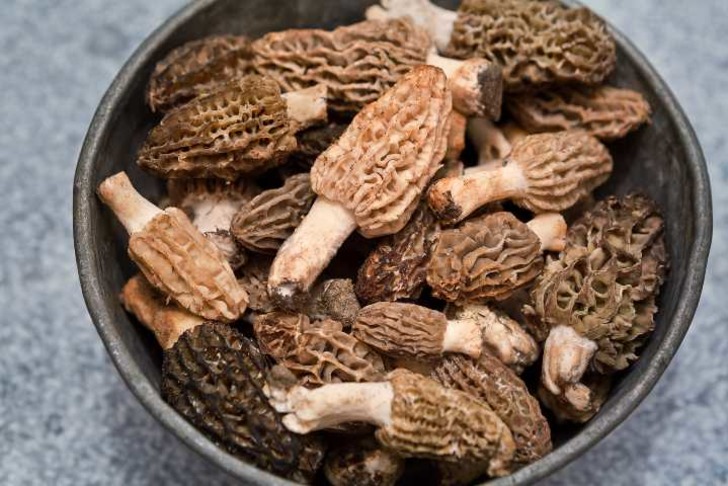 Kuzu göbeği mantarı zararları