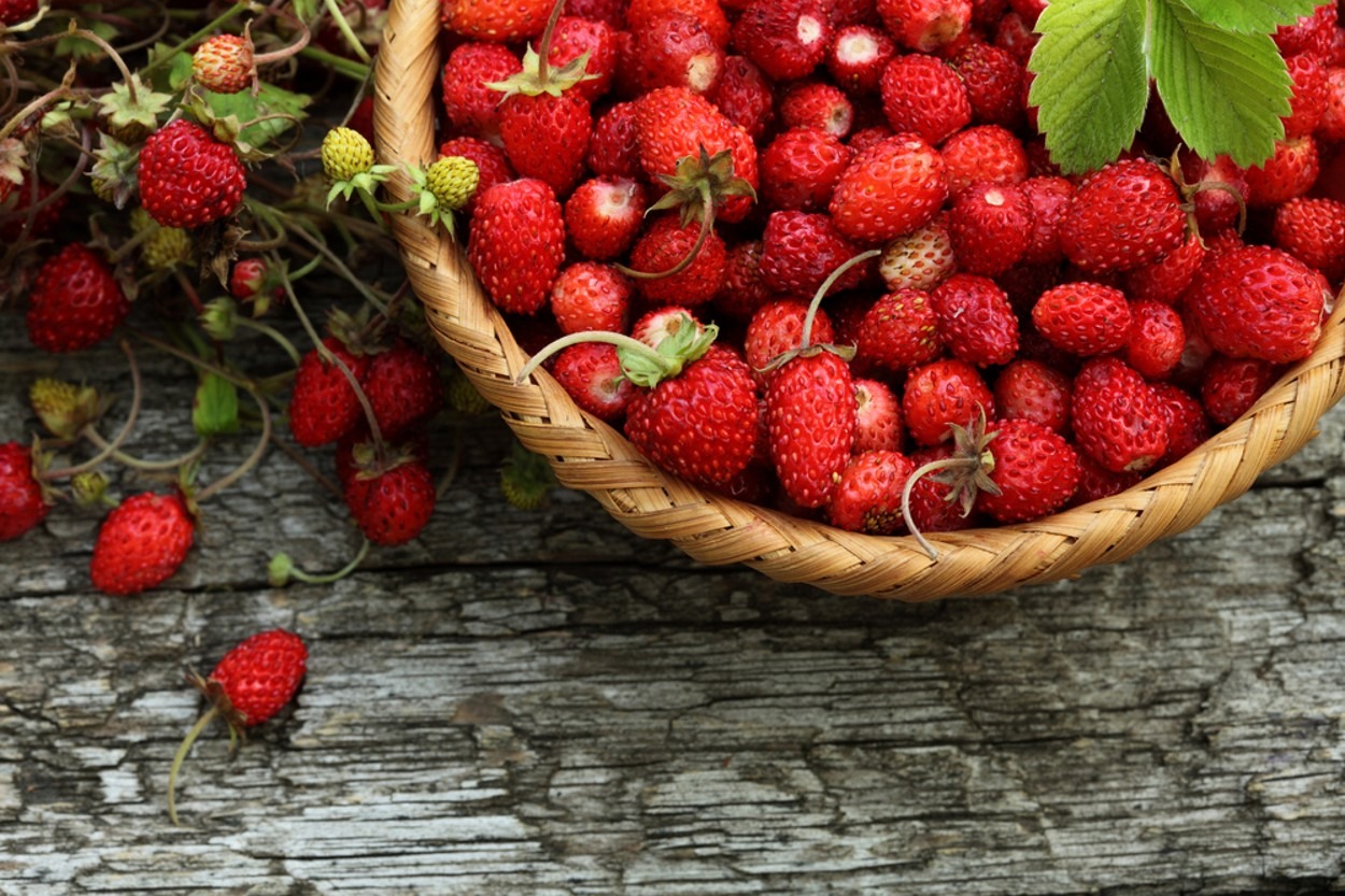 Mis Gibi Aroması ve Çeşit Çeşit Faydasıyla Karşınızda: Dağ Çileği