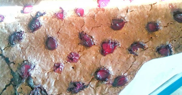 visneli-browni-2