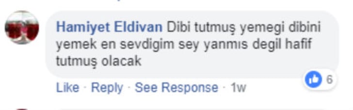 takinti-hamiyet-eldivan-fb