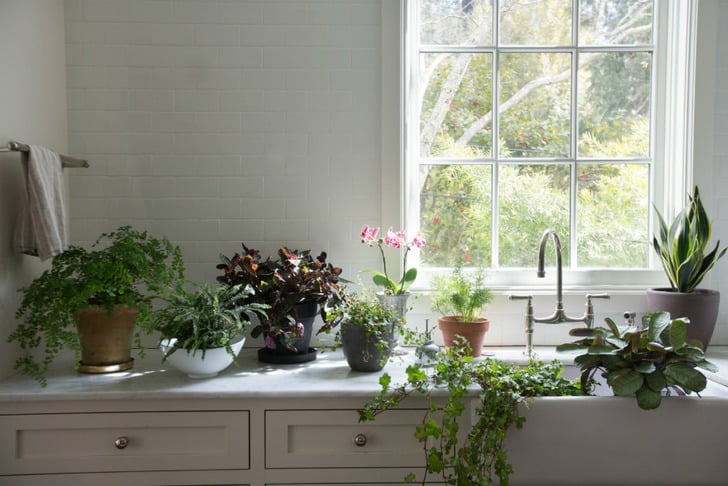 gardenista