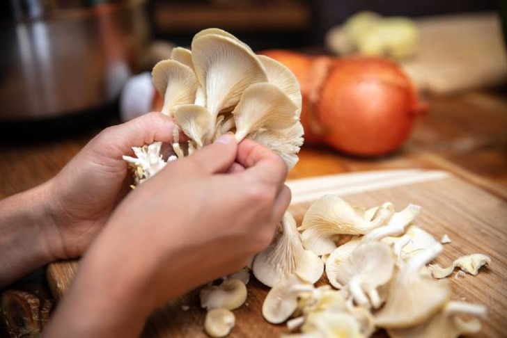 İstiridye Mantarı Yıkanır mı?