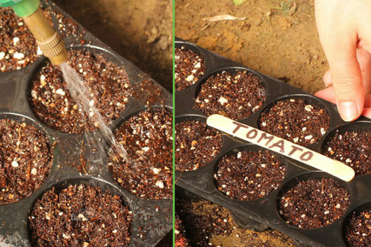 https://www.fabhow.com/grow-tomatoes-pot.html | fabhow