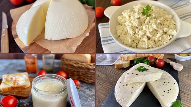 Kaşar Peynirinden Labneye, Evde Yapabileceğiniz 12 Farklı Peynir Tarifi