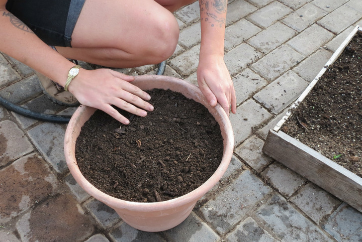https://goodnessgrowspa.com/2017/01/07/urban-ag-101-planting-a-salad-bowl-container-garden/ | goodnessgrowspa