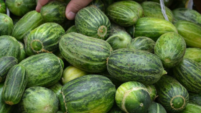 Dışı Karpuz, İçi Kavun, Tadı Salatalığa Benzeyen Bizden Bir Meyve: Şelengo