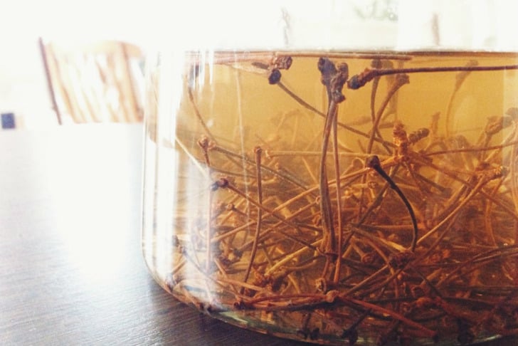 https://fructopia.de/en/feel-good-tea-cherry-stem-tea-kirschstieltee/ | fructopia
