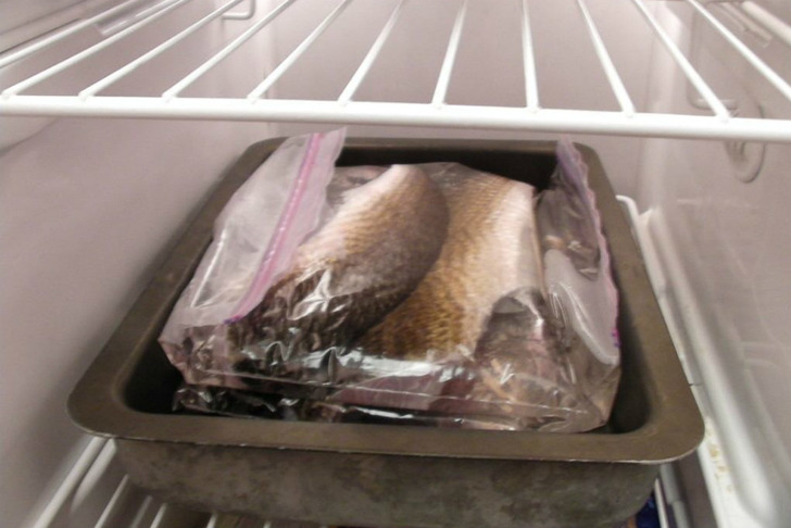 lafishblog