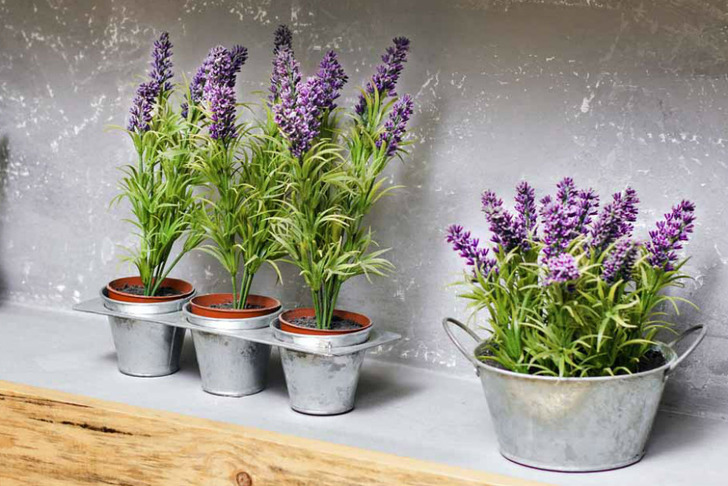 gardenerspath