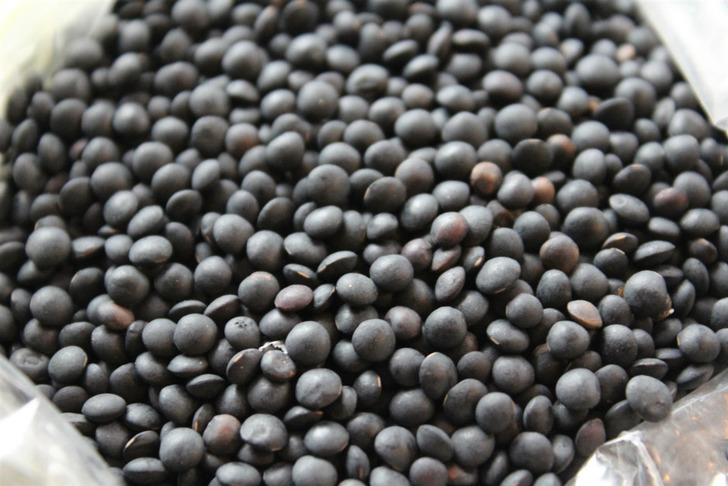 annapolisseeds