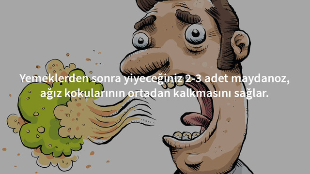 Maydanozun Şimdiye Kadar Tahmin Etmediğiniz 11 Farklı Kullanımı