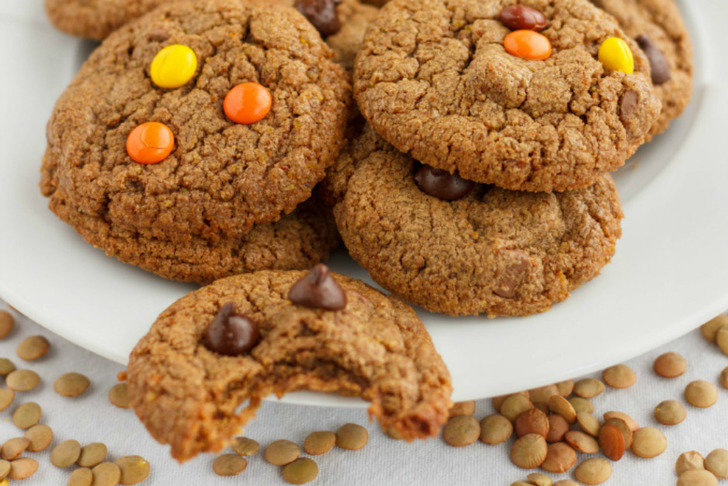 https://thecookiewriter.com/homemade-lentil-flour-tutorial/ | thecookiewriter