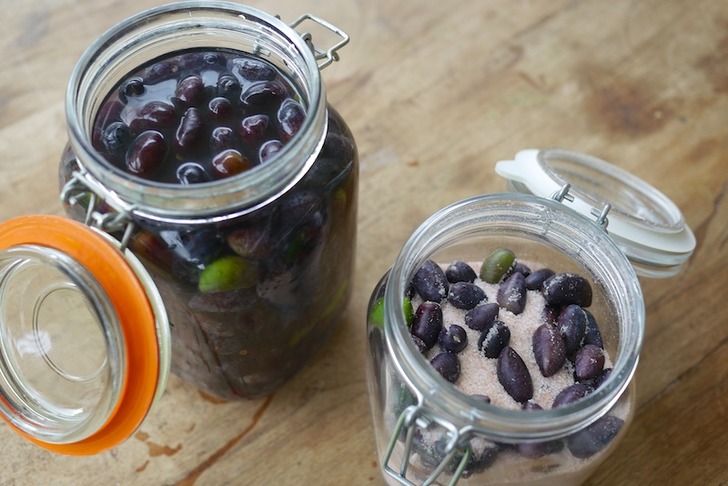https://www.milkwood.net/2015/04/12/curing-olives-basic-brine-salt-methods/ |milkwood.net