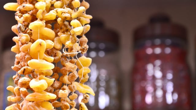 Saksıda Bile Olur: Salep Nasıl Yetiştirilir?