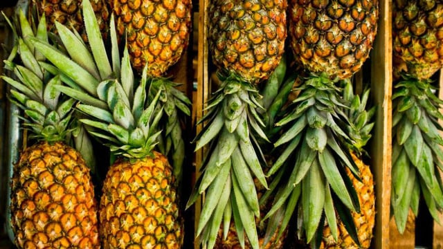 Evde Çok Kolay Yetiştirebileceğiniz Faydalarıyla Öne Çıkan Tropik Bir Meyve: Ananas