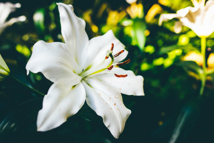 Photo by Matt on Unsplash