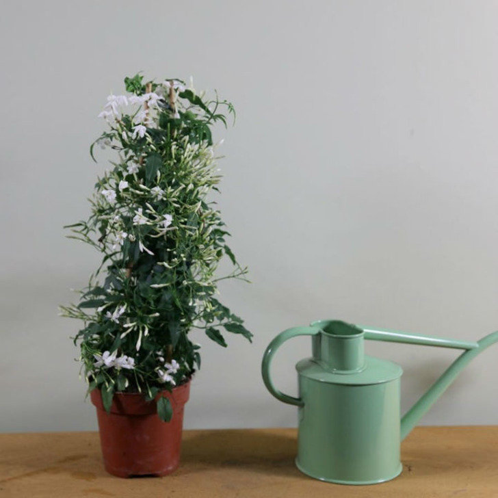 smartgardenguide