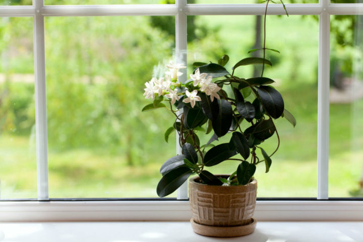 gardeningknowhow