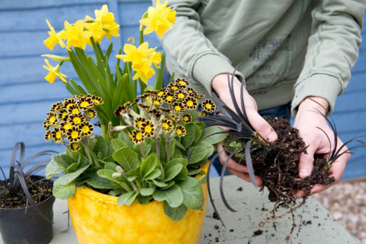 gardenersworld