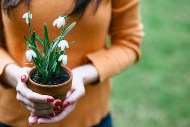 candidegardening