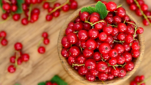 Günlük C Vitamini İhtiyacının 3 Kat Fazlası Sunan Minik Meyve: Frenk Üzümü